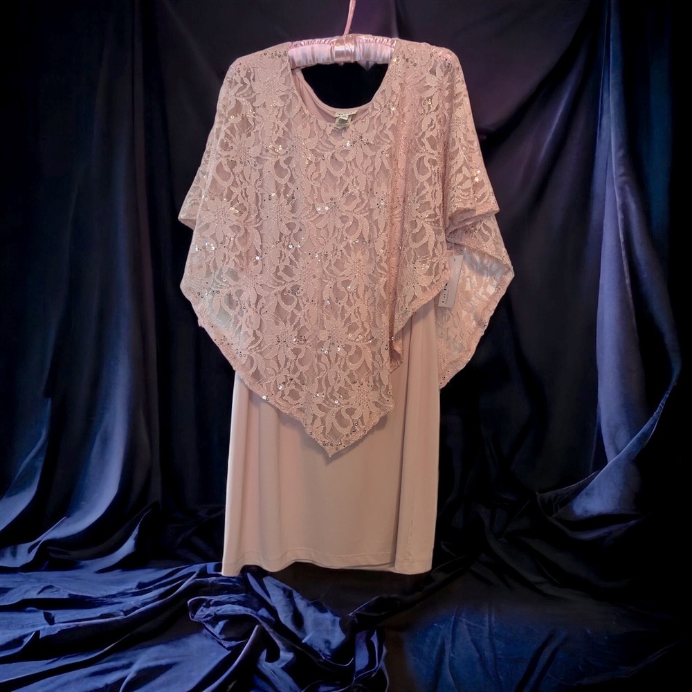NWT Pink Champagne Shift Dress with Sequin Coverlet